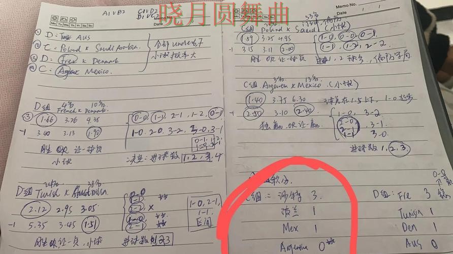 世界杯投注入口哪个好用更适合新手经验分享